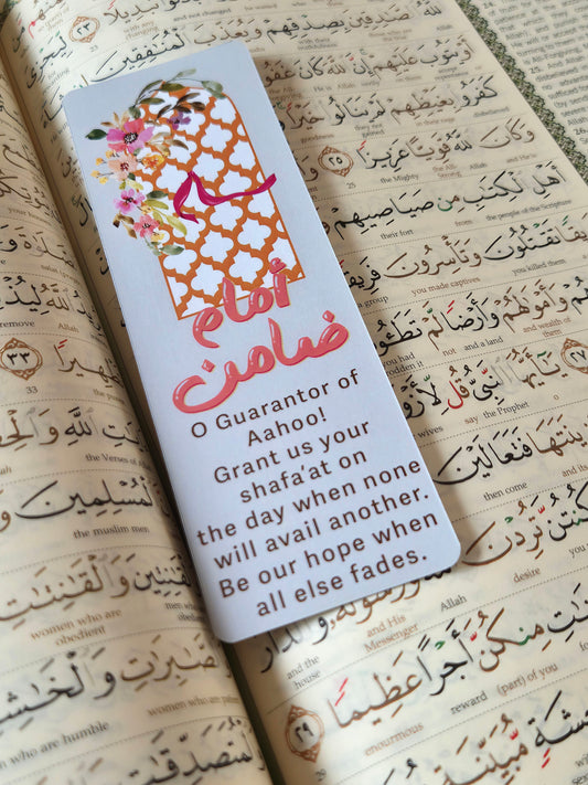 Imam Zamin Bookmark